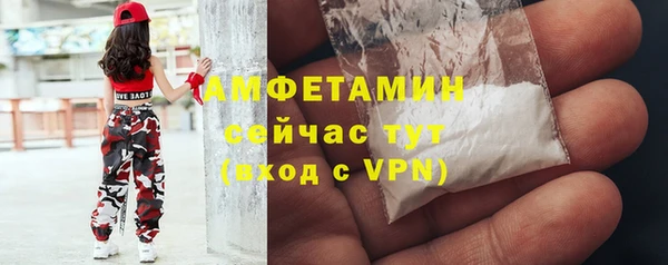 PSILOCYBIN Гусь-Хрустальный