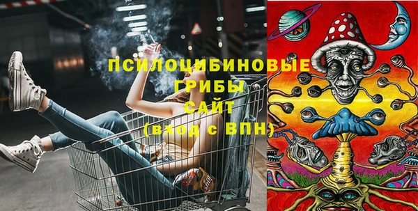 дмт Алексеевка