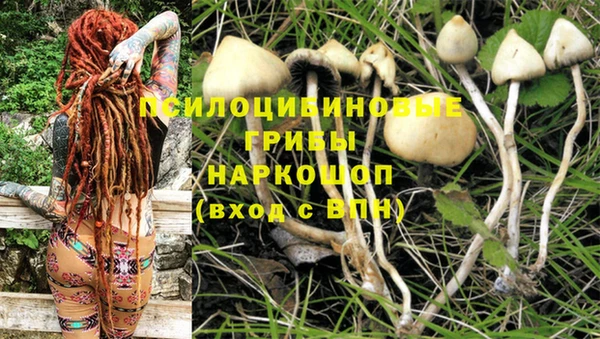 дмт Алексеевка