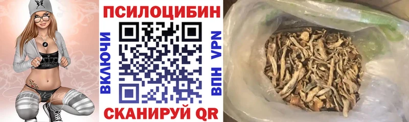 Галлюциногенные грибы Psilocybe  Кинель 