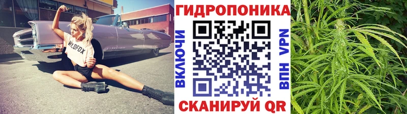 Канабис конопля  Кинель 